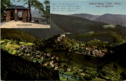 Schwarzburg I. Thür., Vom Trippstein - Saalfeld