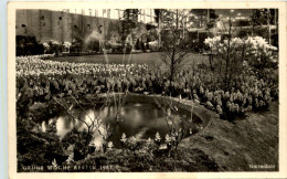 Berlin, Grüne Woche 1957 - Other & Unclassified