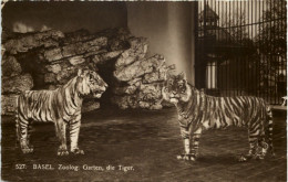 Basel - Zoologischer Garten - Tiger - Andere & Zonder Classificatie