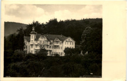 Ilsenburg, Hotel Waldhöhe - Ilsenburg