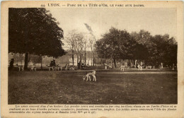 Lyon - Parc De La Tete D Or - Andere & Zonder Classificatie