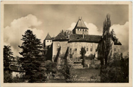 Chateau De Blonay - Autres & Non Classés