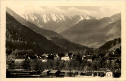 Höllenstein Mit Gamsstein - Amstetten