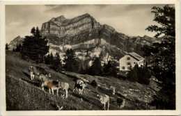 Zürcher Naturfreundehaus Fronalp Mit Wiggis Und Rauti - Other & Unclassified