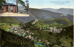 Schwarzburg I. Thür., Vom Trippstein - Saalfeld