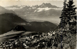 Leysin, Les Dents Du Midi Et La Plane Du Rhone - Leysin