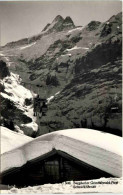 Grindelwald-First, Bergbahn, Schreckhörner - Grindelwald