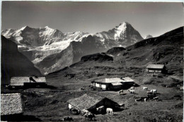 Grindelwald, Alp Bachläger - Grindelwald