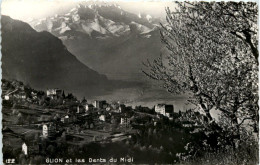 Glion Et Les Ents Du Midi - Autres & Non Classés