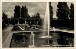 Forst Lausitz, Rosengarten Auf Der Wehrinsel - Altri & Non Classificati