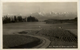 Bern, Aussicht Vom Garten Gegen Die Alpen - Autres & Non Classés