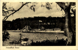 Strandbad Briese - Sonstige & Ohne Zuordnung