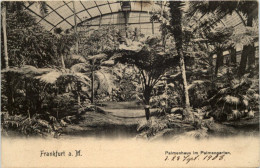 Frankfurt, Palmenhaus Im Palmengarten - Frankfurt A. Main