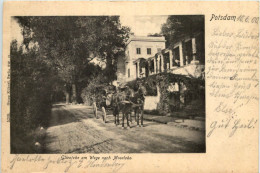 Potsdam, Glienicke Am Wege Nach Moorlake - Potsdam