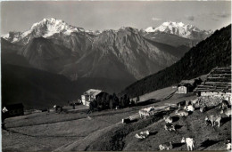 Mörel, Hotel Riederalp - Other & Unclassified
