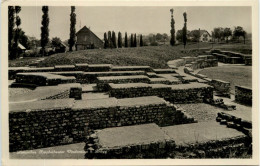 Römisches Amphitheater Vindonissa B. Brügg - Brugg