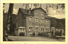 Seeheim An Der Bergstrasse - Hotel Hufnagel - Otros & Sin Clasificación