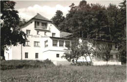 Weiten-Gesäss - Pension Waldfriede - Michelstadt Im Odenwald - Michelstadt