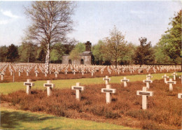 Soldatenfriedhof Lommel - Other & Unclassified