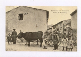 MONTFLEURY, Environs De Clermont : Attelage, 1905 (z4151) - Sonstige & Ohne Zuordnung