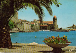 AA810  66 PYRENEES ORIENTALES  COLLIOURE  LE VIEUX PORT L'EGLISE  ET SON CLOCHER........- - Collioure