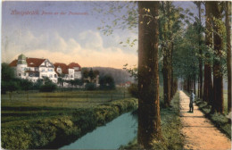 Königsbrück - Partie An Der Promenade - Koenigsbrueck
