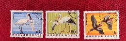 HONGRIE 1977 3v Oblitéré YT 2536 / 2538 Ucello Oiseau Bird Pájaro Vogel HUNGARY UNGARN MAGYAR UNGHERIA - Andere & Zonder Classificatie