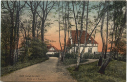 Bad Oeynhausen - Motiv An Der Sielallee - Bad Oeynhausen