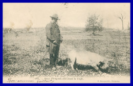 * DEUX PERIGORDS CHERCHANT LA TRUFFE * - COCHON PORC - ANIMEE - EDIT. DOMEGE - 1903 - Altri & Non Classificati