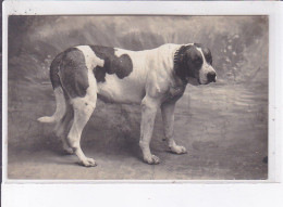 CASTILLONNES: Chien, Texte Militaire - Très Bon état - Other & Unclassified