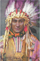 INDIENS - Hawatha  Tuck's - Indios De América Del Norte