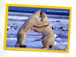Carte Ours Blanc - Bears