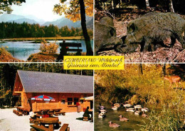 72840012 Gruenau Almtal Cumberland Wildpark Wildschweine  Restaurant Gruenau Alm - Sonstige & Ohne Zuordnung