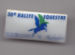 Pin's En Porcelaine  30 ème Rallye Equestre Equirando 91 Rochefort En Charente Maritime Dpt 17 Réf 8008 - Altri & Non Classificati