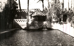 Carte Photo De BENI-ABBES - La Piscine - Other & Unclassified