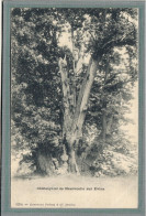 CPA (74) NEUVECELLE-sur-EVIAN - Thème: ARBRE - Aspect Du Vieux Châtaignier Géant En 1900 - Other & Unclassified