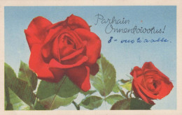 FLOWERS Vintage Ansichtskarte Postkarte CPA #PKE618.DE - Flowers