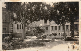 ORAN - L'Evéché Et Vue Du Square - Oran