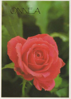 FLOWERS Vintage Ansichtskarte Postkarte CPSM #PBZ805.DE - Flowers