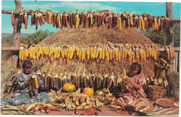 INDIENS - Apache Harvest, Fort Apache Arizona - Indianer