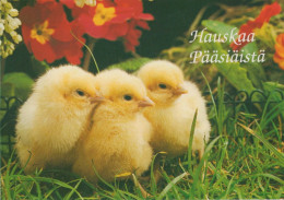 OSTERN HUHN EI Vintage Ansichtskarte Postkarte CPSM #PBO919.DE - Easter