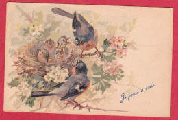 AB495 - FANTAISIES BIRDS OISEAUX VOEGEL BOUVREUILS COUPLE NID OISILLONS - Birds