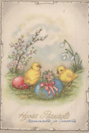 OSTERN HUHN EI Vintage Ansichtskarte Postkarte CPSM #PBO670.DE - Pâques