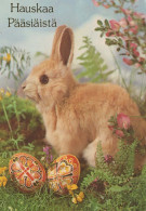 OSTERN KANINCHEN Vintage Ansichtskarte Postkarte CPSM #PBO418.DE - Ostern