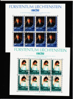 YANxx/11 LIECHTENSTEIN 1982 Michl 797/98 Used / Gestempelt SIEHE ABBILDUNG - Used Stamps