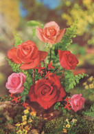 FLOWERS Vintage Ansichtskarte Postkarte CPSM #PAS639.DE - Flowers