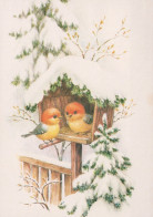 VOGEL Tier Vintage Ansichtskarte Postkarte CPSM #PAM992.DE - Birds