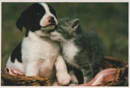 HUND UND KATZETier Vintage Ansichtskarte Postkarte CPSM #PAM052.DE - Honden