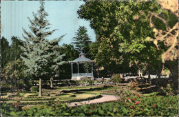 PERREGAUX (Oran) - Square Louis-Laurent - Jardin Public - Oran