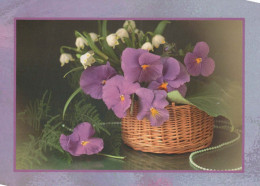 FLORES Vintage Tarjeta Postal CPSM #PBZ381.ES - Flowers